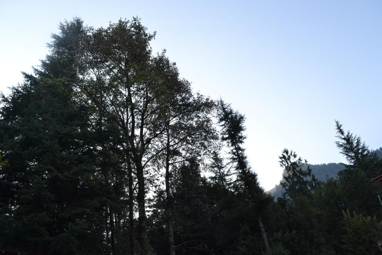 Forest Wood Cottage Manāli エクステリア 写真