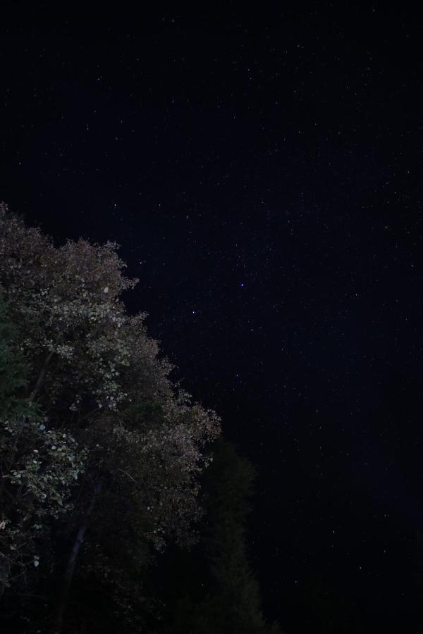 Forest Wood Cottage Manāli エクステリア 写真